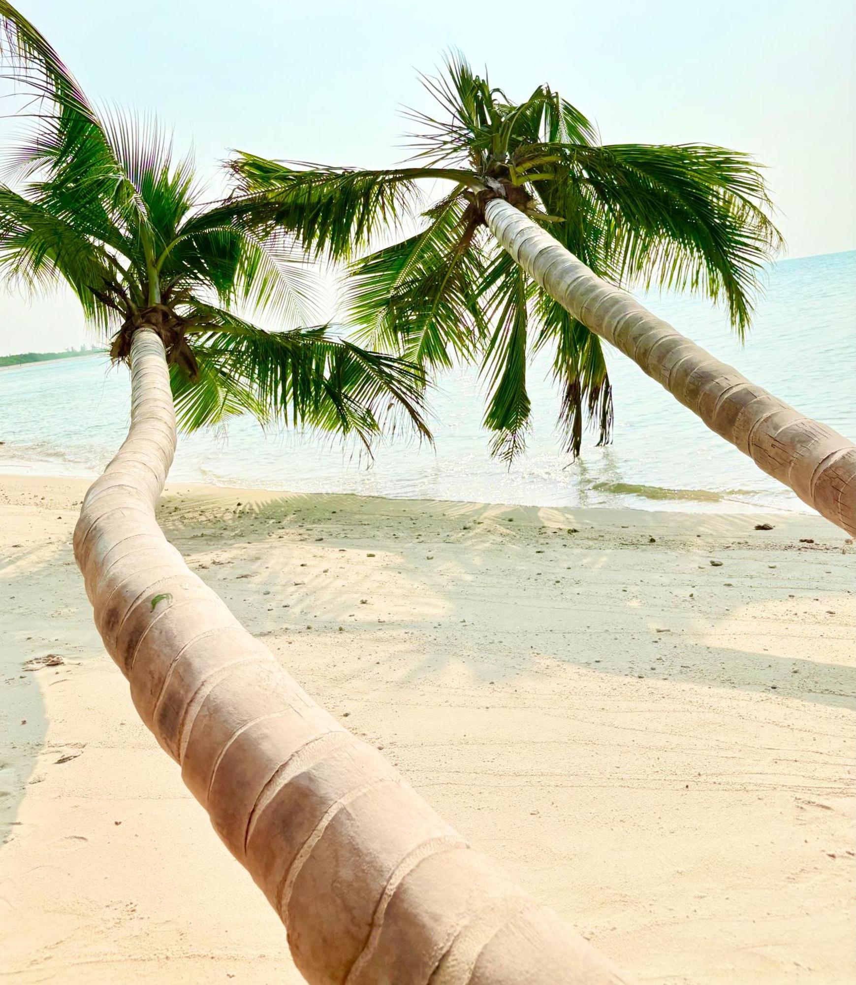 Crystal Sea Inn Bileffahi Ngoại thất bức ảnh